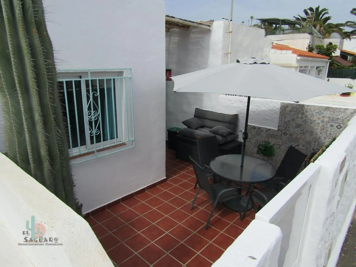 El Saguaro Villa Arona  Holiday home Arona (Tenerife)