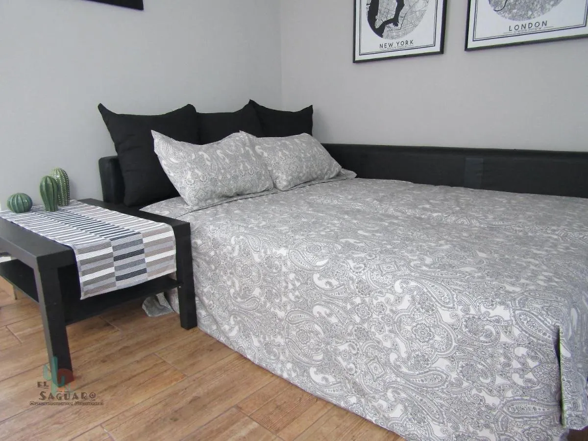 El Saguaro Villa Arona  Holiday home