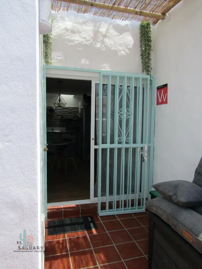El Saguaro Villa Arona  Holiday home